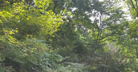 Kim Young-hee Mourns Jeon Yu-seong, Regrets Unspoken Connection - 조선일보