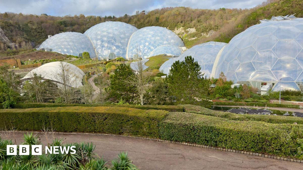The Eden Project. Biomes are built within a former quarry whose sides are covered with trees. There are palm trees in the foreground next to a path with a neatly trimmed hedge running along it. Near the biomes are trees and varied planting.