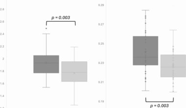 Increased volumes of the precuneus and the pallidum in idiopathic generalized epilepsy