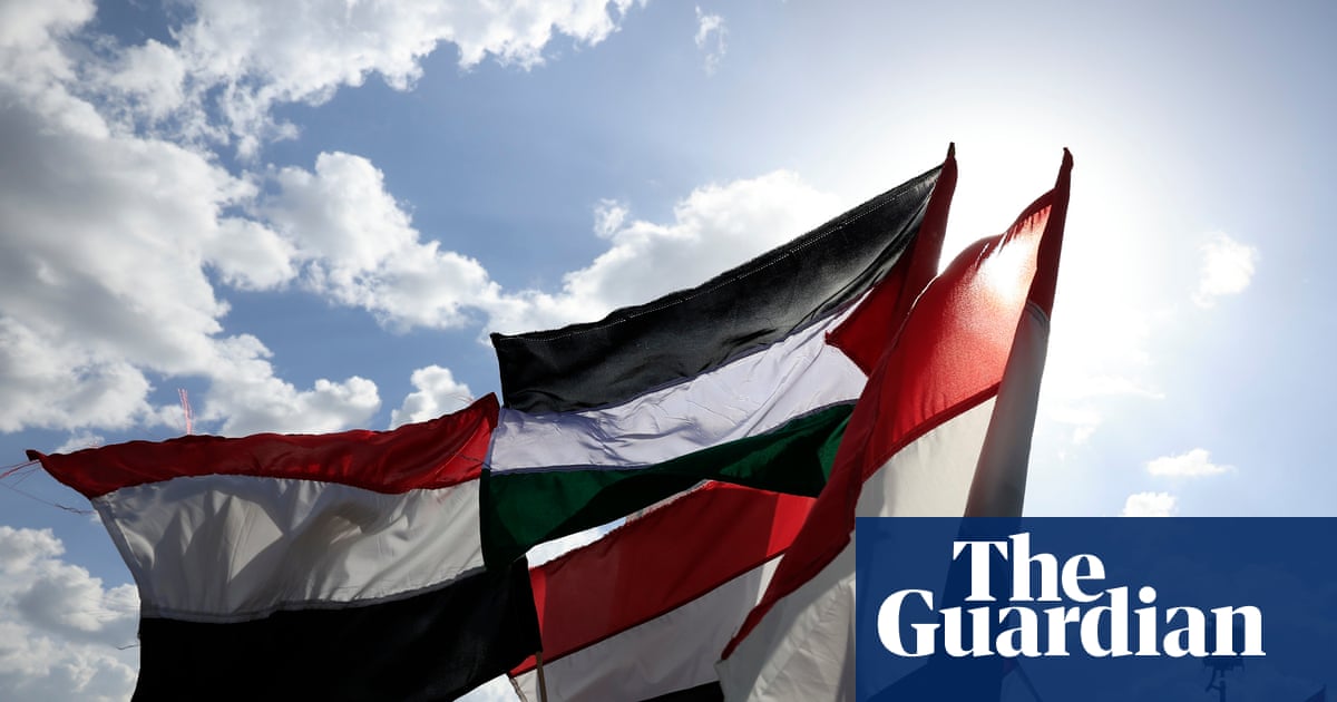 Yemen needs two-state solution as no prospect of ousting Houthis, says southern leader | Yemen