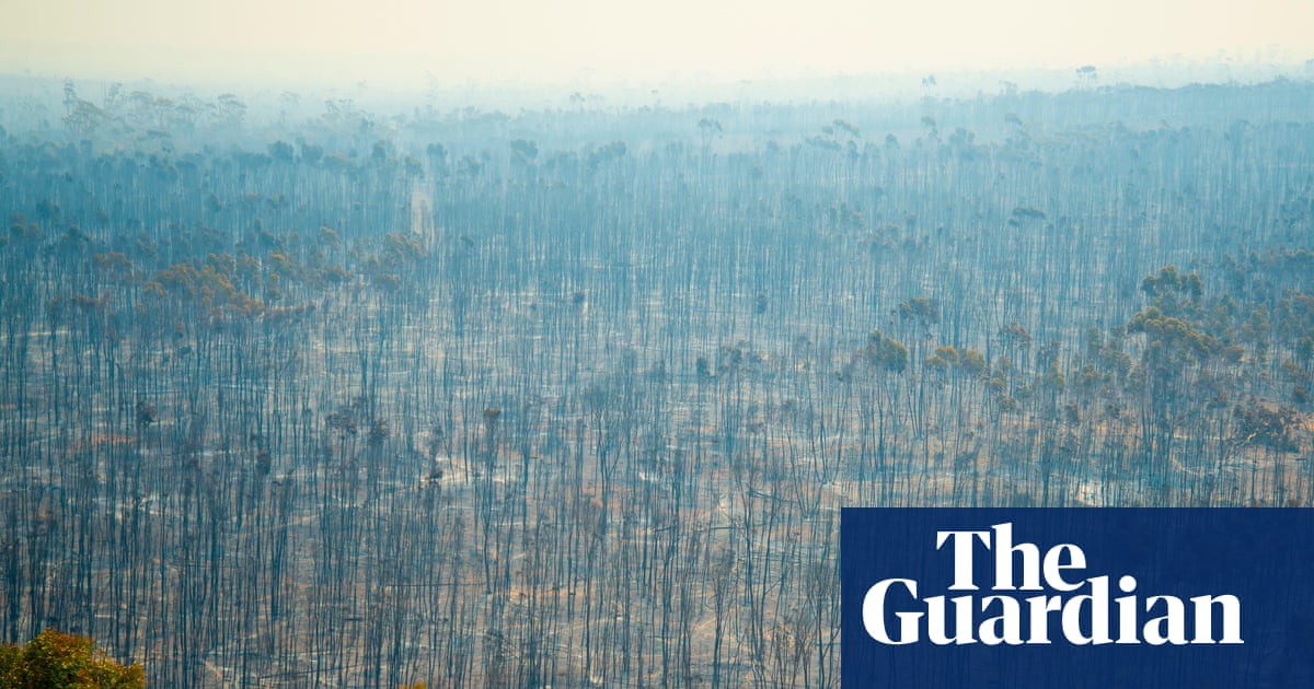 Labor’s 2035 emissions target a ‘sliding doors’ moment for future generations | Australian politics