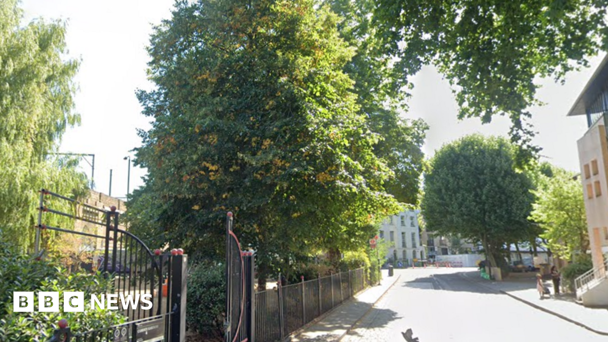 Camdens Gardens, a quiet tree-lined street with large green trees casting shade over the road. A black iron gate to a small park is visible on the left, while a few people walk further down the street. A light-coloured building can be seen to the right and more buildings are visible in the distance.