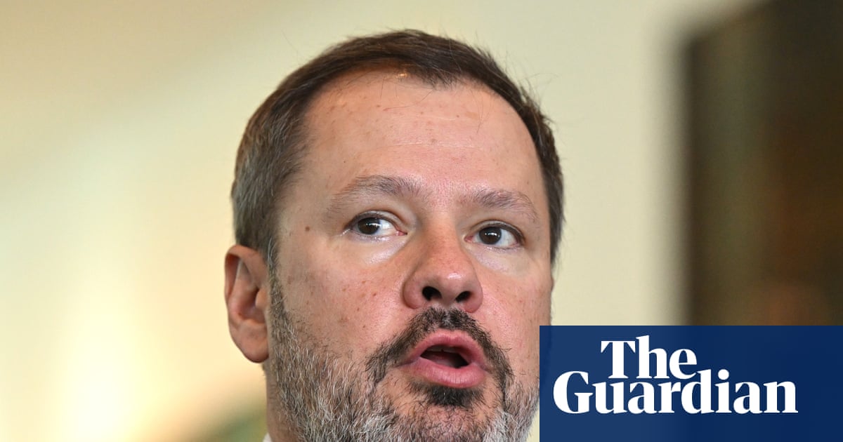 Husic rebukes PM’s assertion ‘good people’ went to March for Australia rallies as Nampijinpa Price walks back immigration claim | Australian immigration and asylum