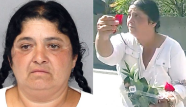 Toronto distraction theft: suspect arrested