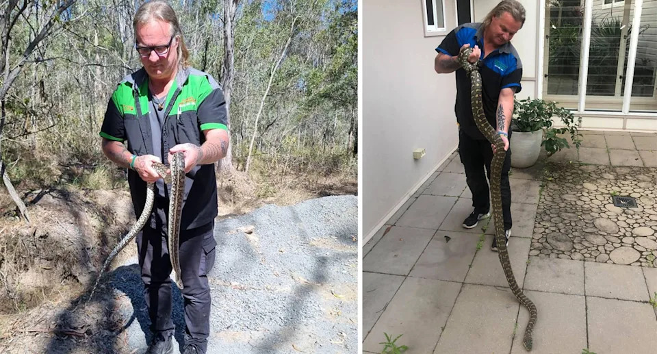 Glenn Lawrence holds up a large python.