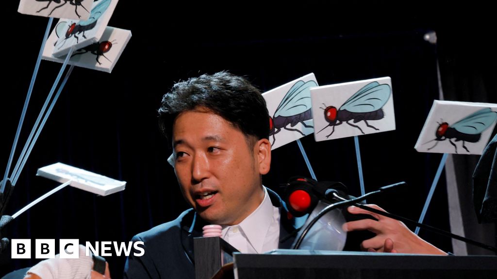 Zebra cows and Teflon food among winners