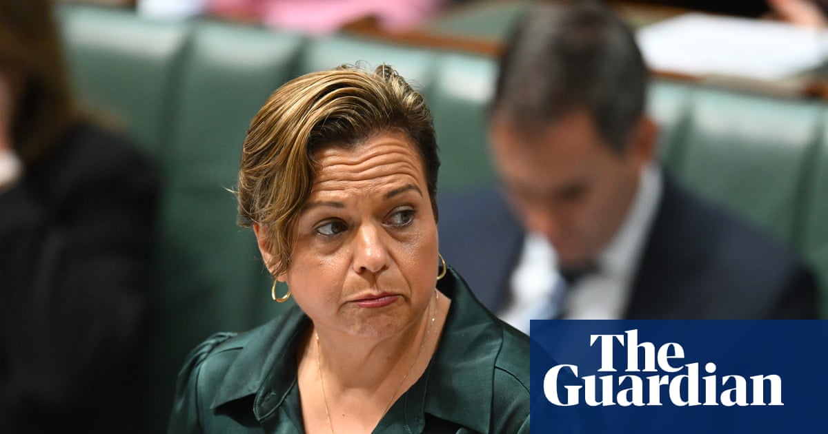 Labor’s proposed FoI clampdown ‘ripe’ for high court challenge, legal expert says | Freedom of information