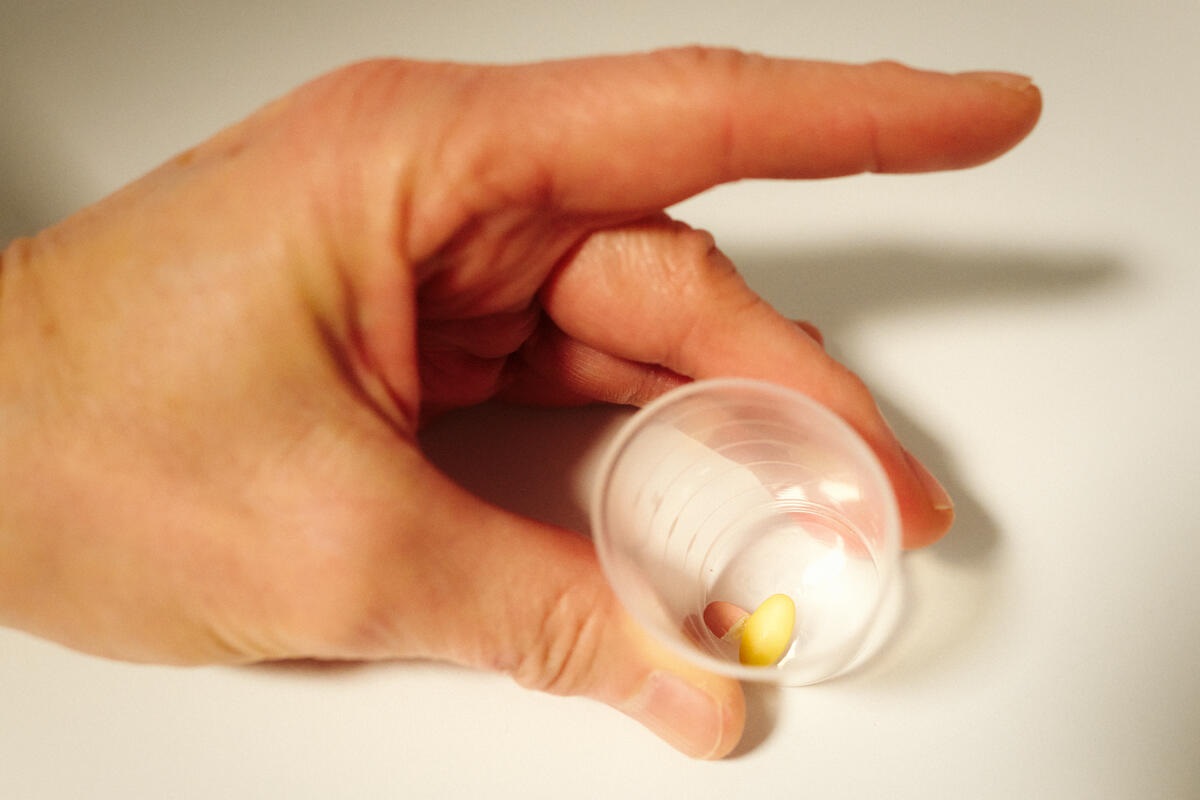 WHO publishes full guideline report to help countries ensure safe, equitable access to controlled medicines