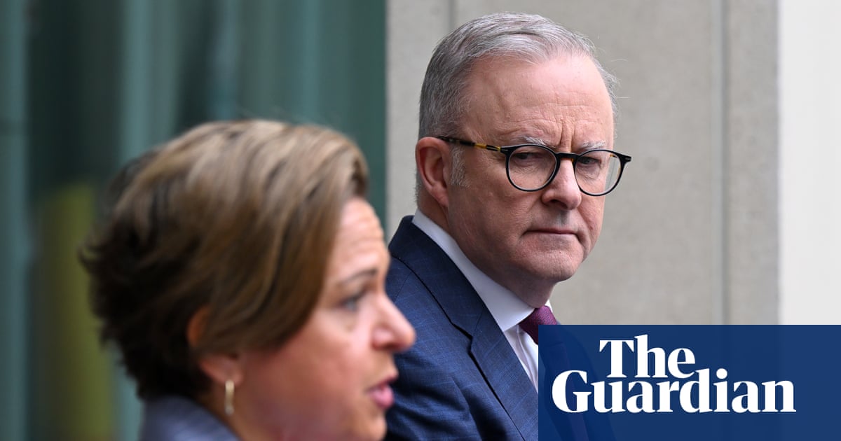 Labor facing backlash over plans to curb access to government information | Australian politics