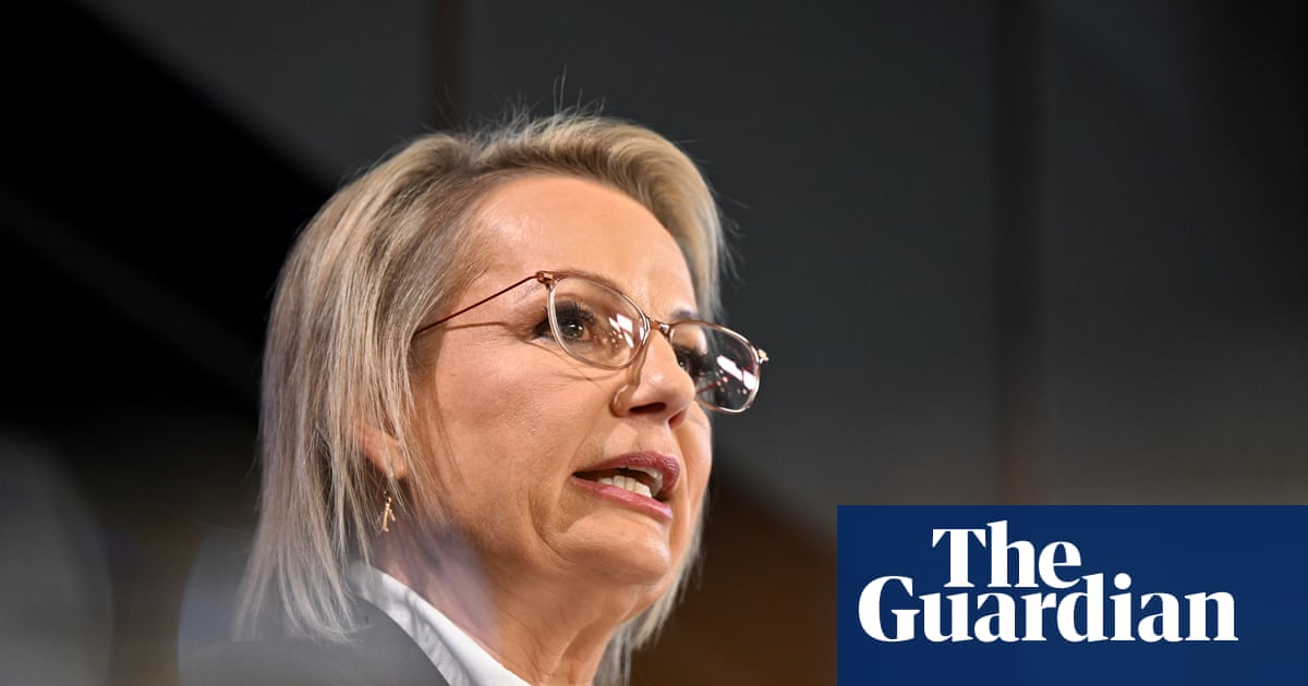 Coalition to fight Labor’s universal childcare plan as Ley signals ‘unrelenting’ pursuit of efficiency | Liberal party