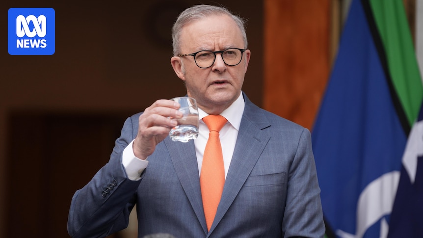 Labor proposes blanket refusal of freedom of information requests in overhaul of transparency laws