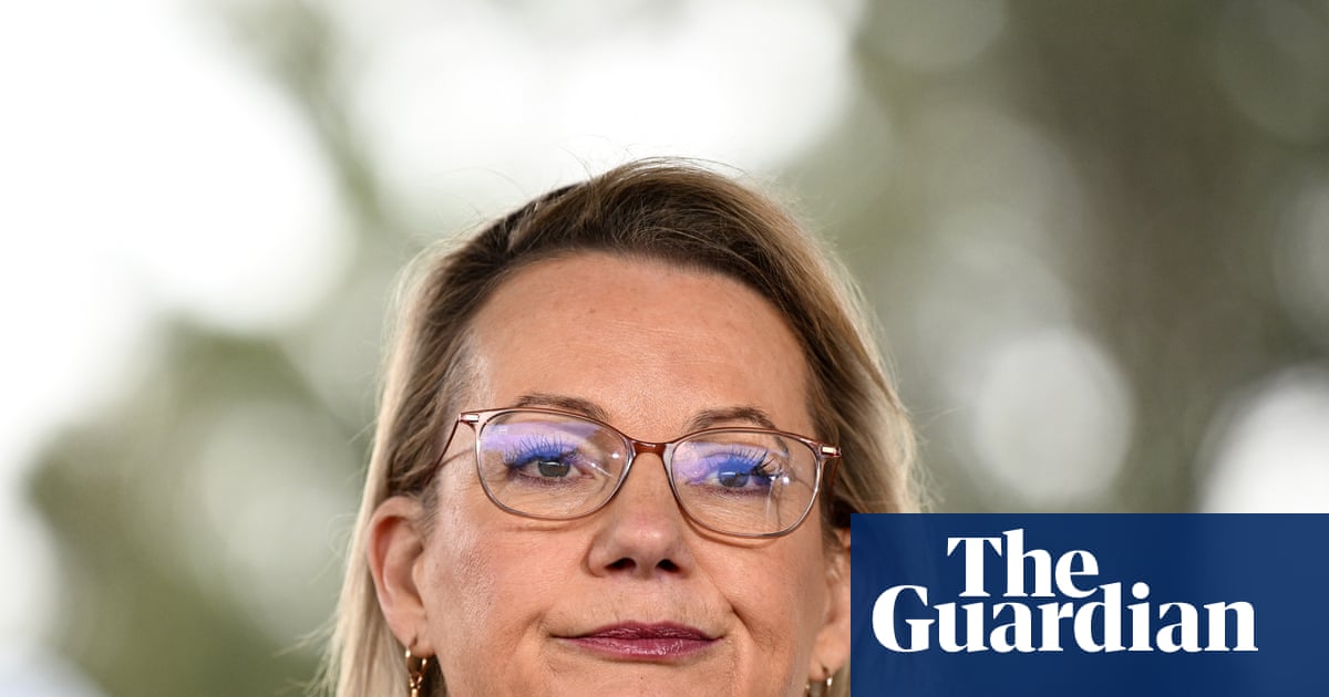 Sussan Ley says she ‘misspoke’ after comments that Coalition doesn’t believe in setting climate targets | Sussan Ley
