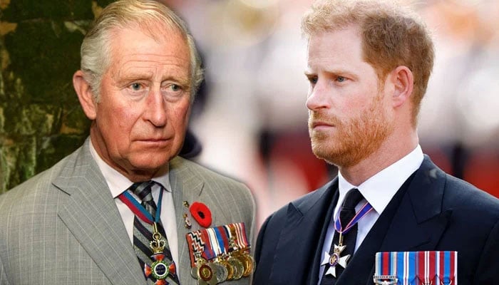 Prince Harry speaks out speaks out after strict King Charles decision