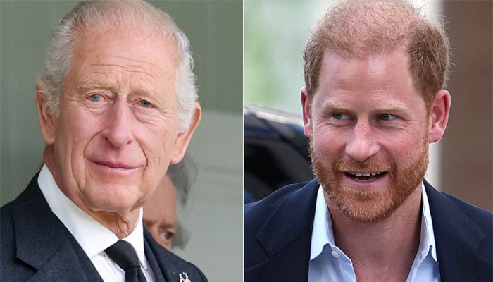 King Charles warned after major decision about Prince Harry: Absolutely disastrous
