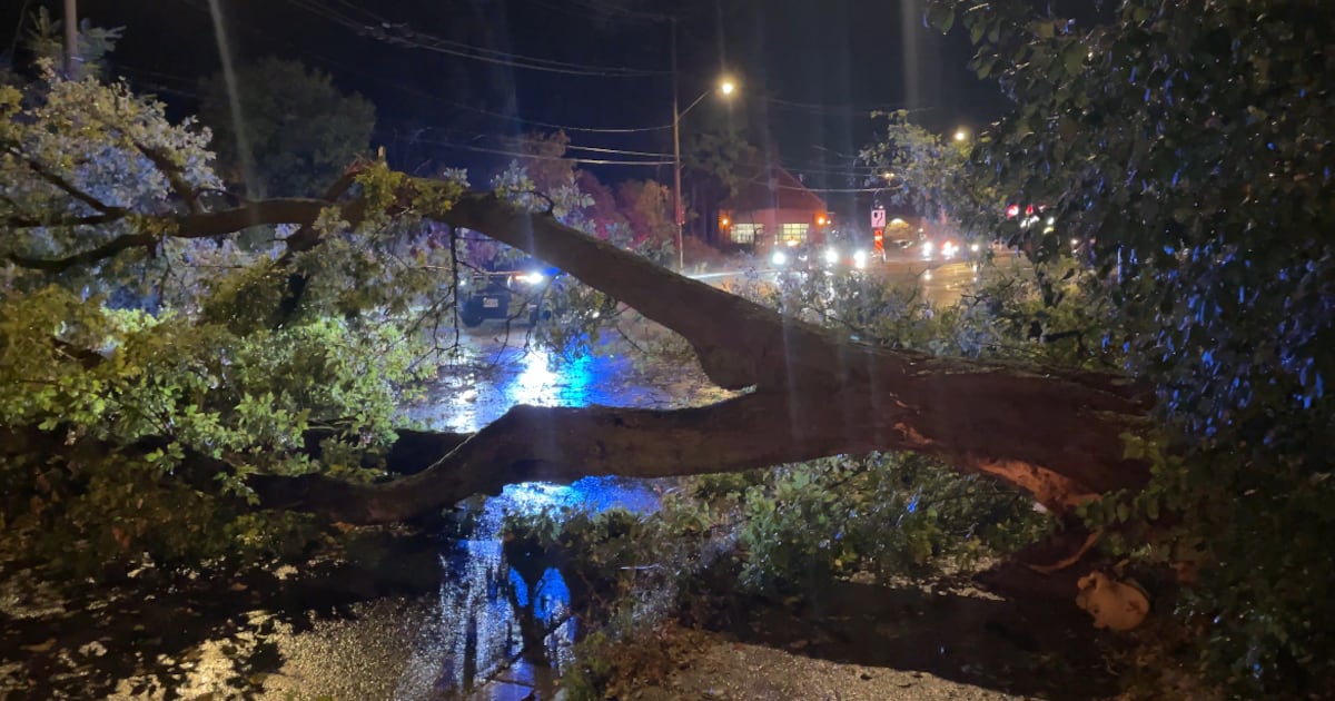 Severe thunderstorm causes damage and slowdowns in Waterloo Region - CTV News