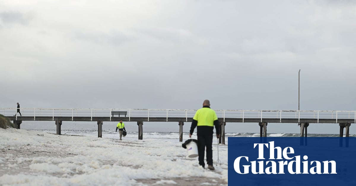 South Australians with asthma warned of ‘potential risk’ of toxic algal bloom as Senate inquiry begins | South Australian algal bloom