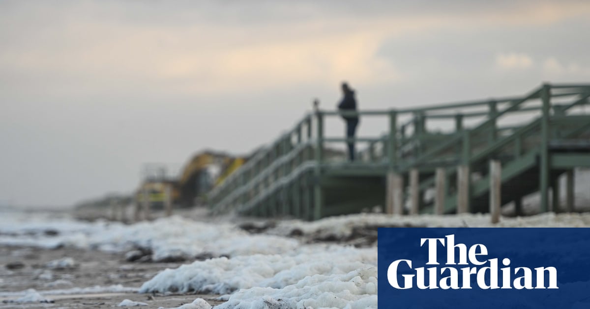 61 leafy seadragons, 604 Port Jackson sharks: logging the grim tally of death in South Australia’s algal bloom | South Australian algal bloom