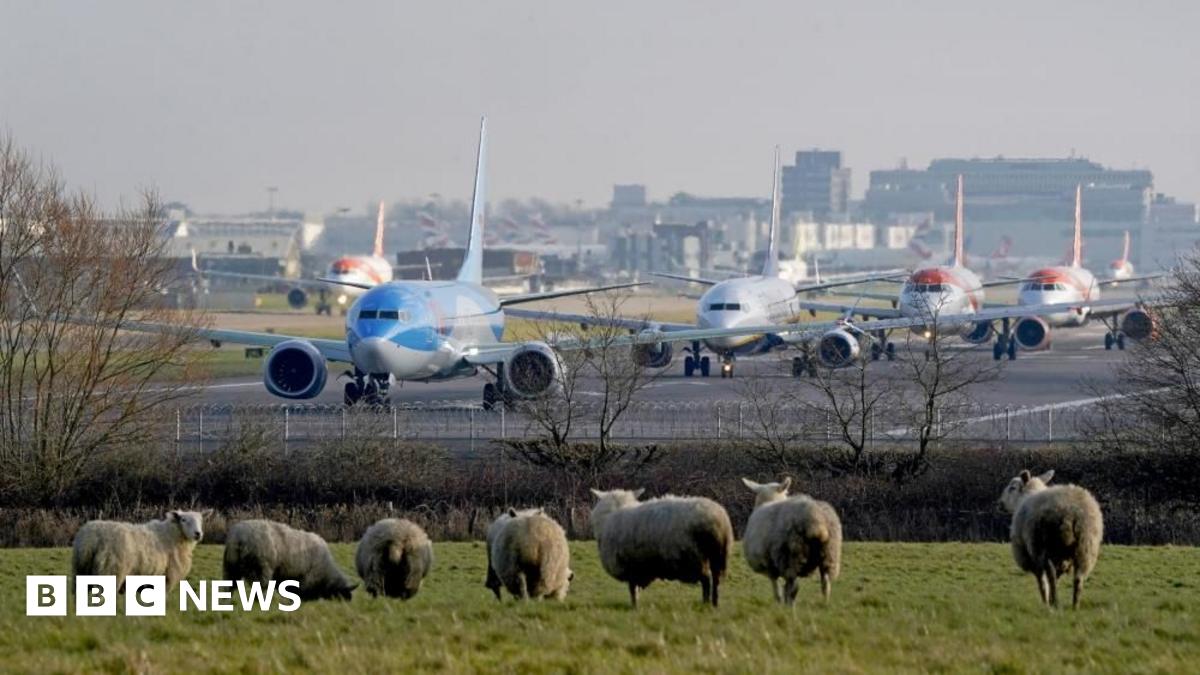 Four aeroplanes line up for take off at London Gatwick Airport. In the foreground, seven sheep stand around on a bank of grass.