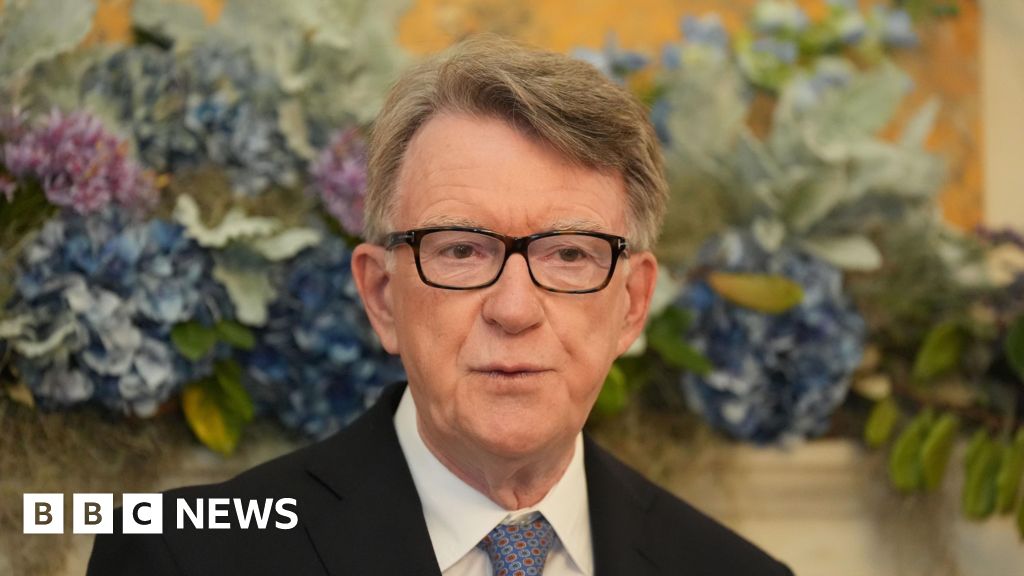 Mandelson red flags were missed or ignored, senior Labour MP says