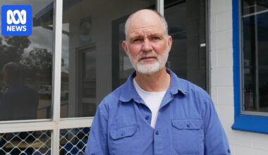 Fishers call for SA gulfs to be shut to protect 'near-non-existent' stocks amid toxic algal bloom