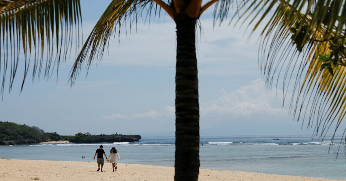 Bali 'Island of Heaven' Death: Family Demands Missing Son's Heart - 조선일보