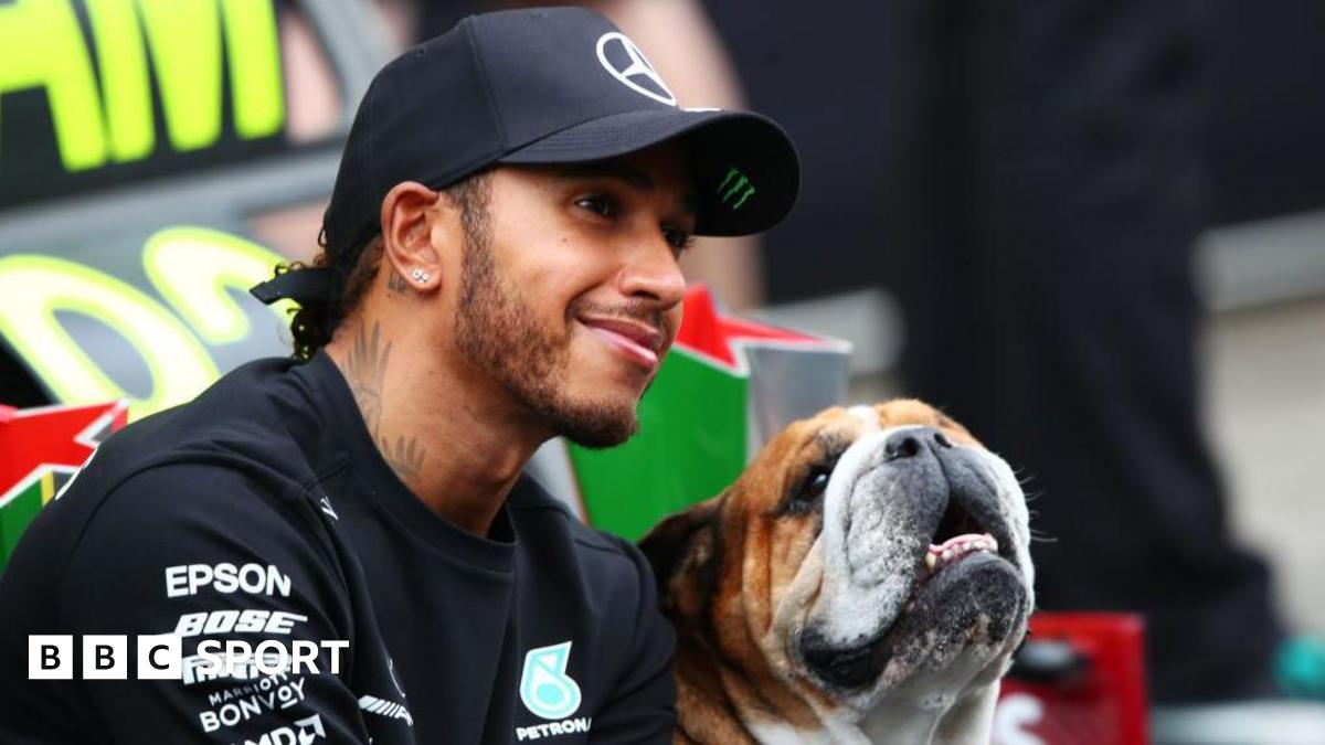 Hamilton pays tribute as his dog Roscoe dies