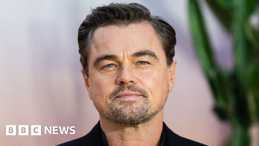Leonardo DiCaprio on why his new film addresses 'divisiveness in our culture'