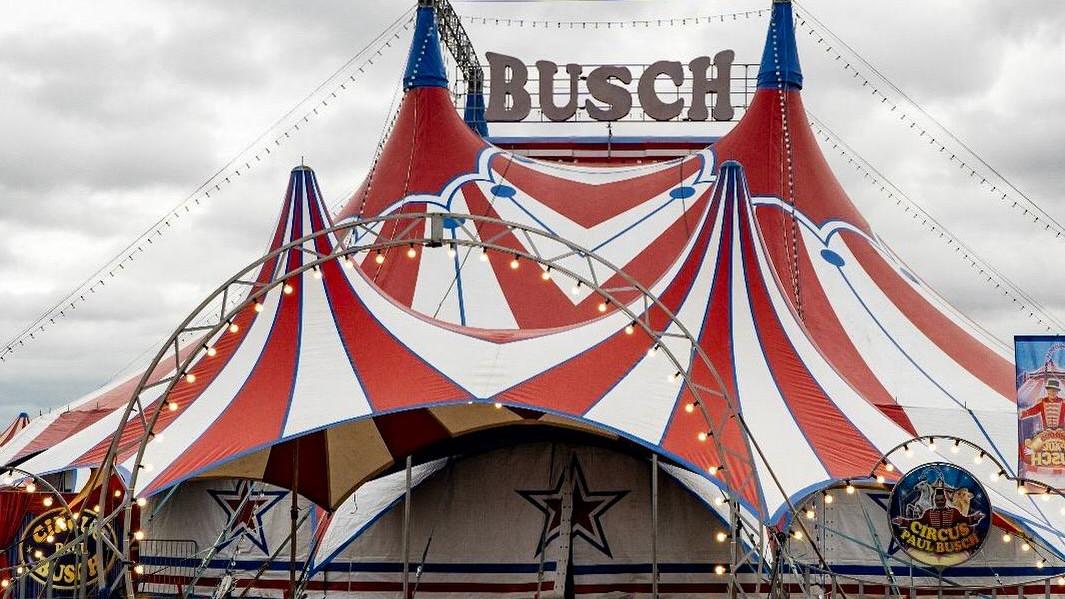 Circus Paul Busch: Acrobat falls to death after trapeze stunt goes wrong in Germany