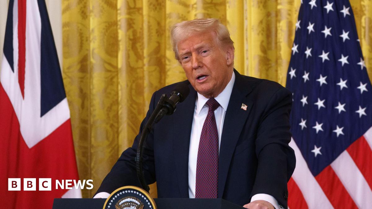 Illuminated: The Cat Killer Detectives