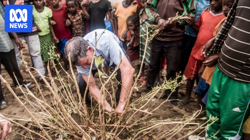 Scientist wins peace prize for farmer-managed natural regeneration work