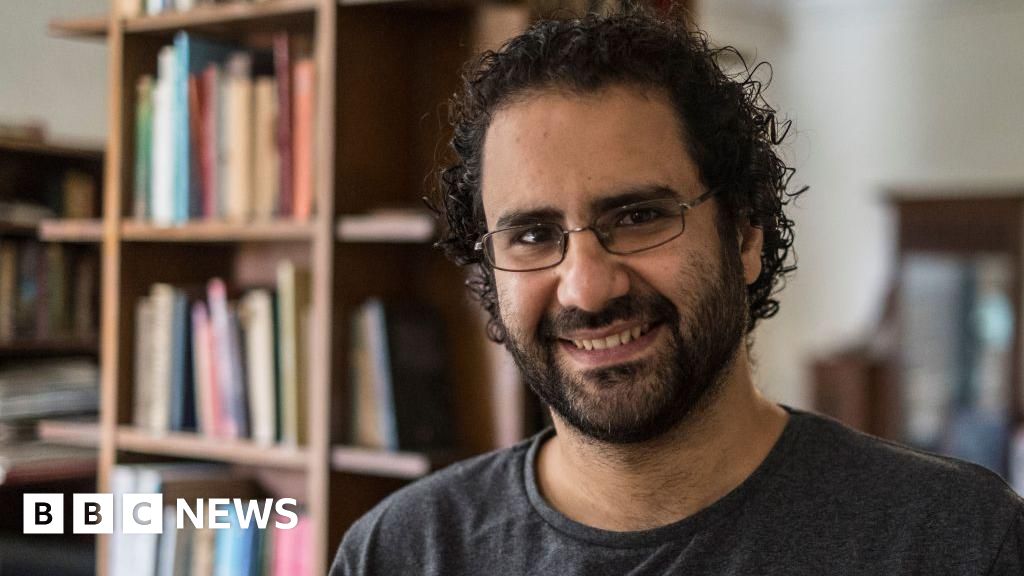 Egypt's president pardons prominent activist