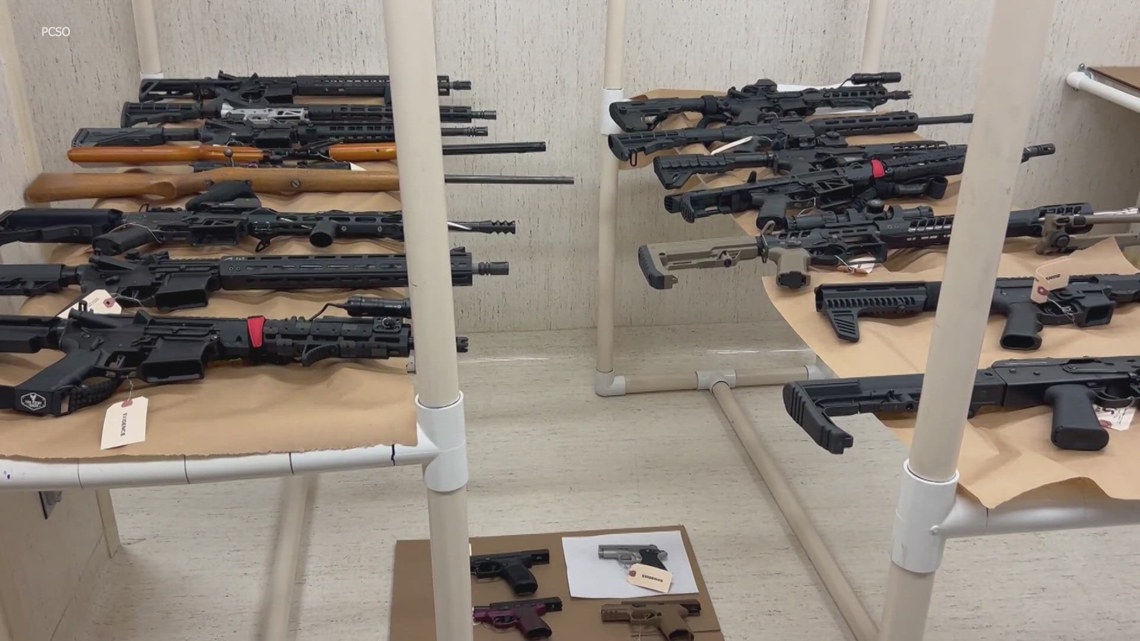 Teen's home raid reveals weapons amid attack plans