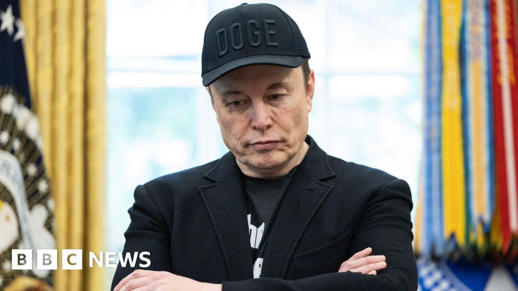 Musk's fellowship of Royal Society in doubt after rally address