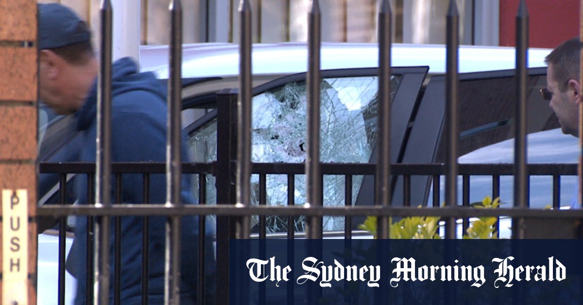 Car smashes through gates at Woollahra consulate