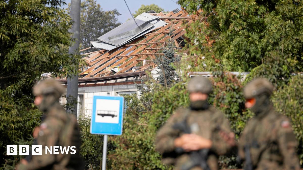 Illuminated: The Cat Killer Detectives