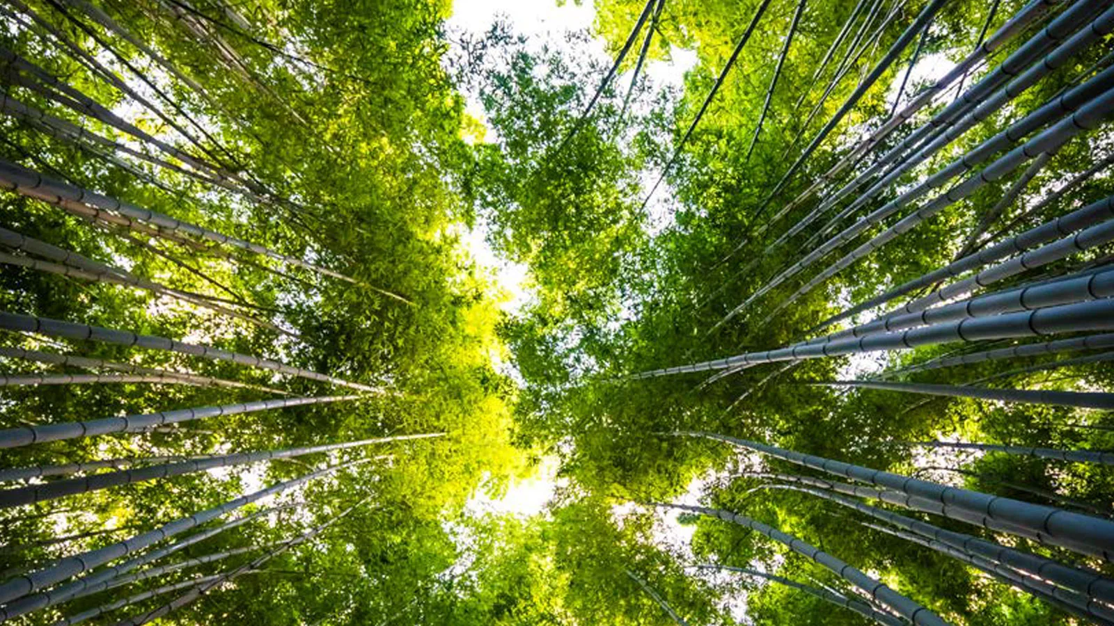 Insights into nature-related metrics and target-setting along the value chain