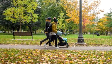 Canada’s fertility rate has reached a new low - CTV News