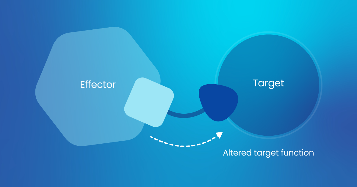 Induced Proximity: Turning Molecular Matchmakers into Medicines