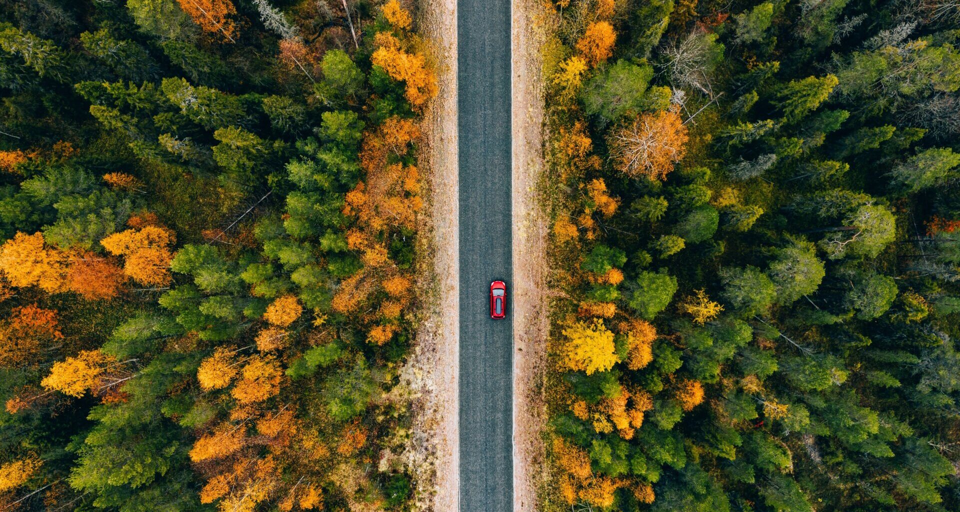 Aerial view of rural road in yellow and orange autumn forest in rural Finland.