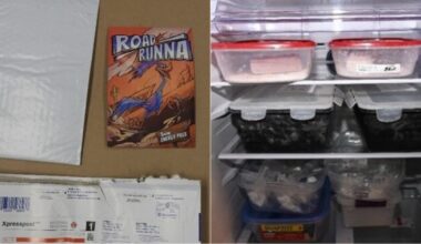 RCMP charges 7 suspects from the GTA in dark web bust - CTV News