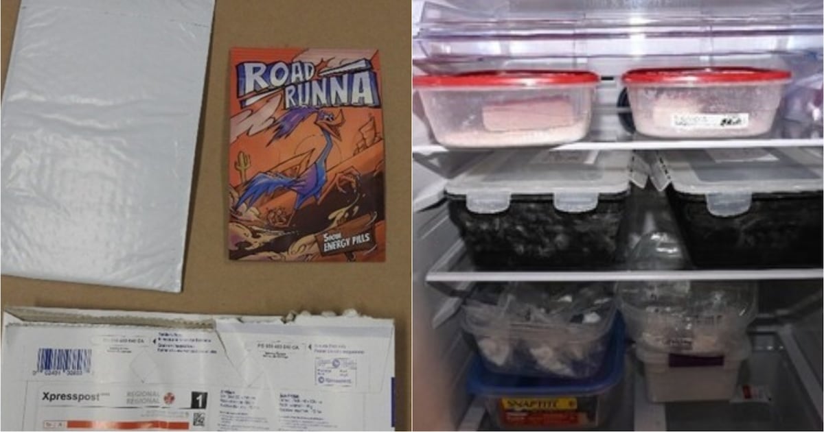 RCMP charges 7 suspects from the GTA in dark web bust - CTV News