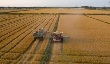 How an Illinois Farmer Turned Flooded Farmland Into Rice Paddies — ProPublica