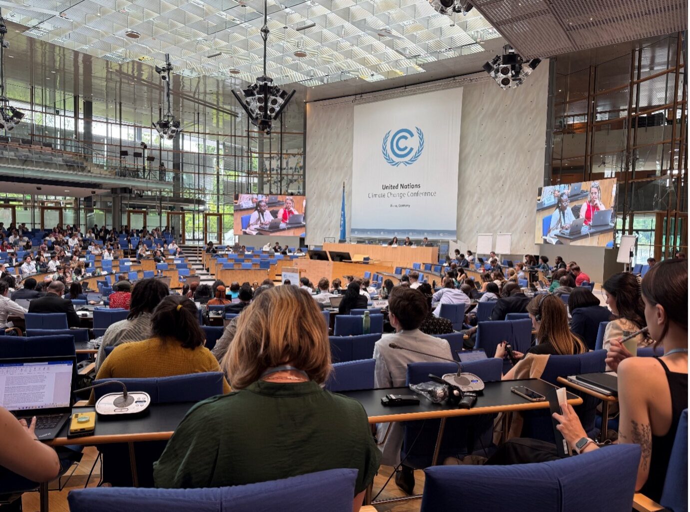 Enhancing synergies across the climate and biodiversity agendas