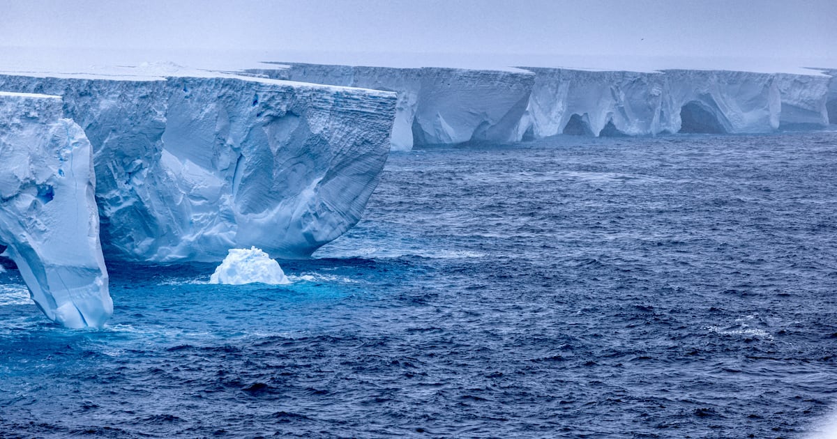 World's largest iceberg fragmenting, nearing disappearance - 조선일보