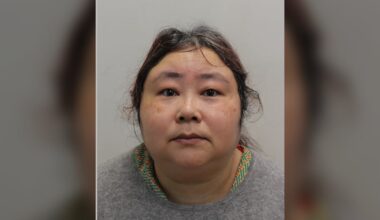 Chinese woman pleads guilty to bitcoin fraud in what is believed to be world’s largest seizure - CTV News