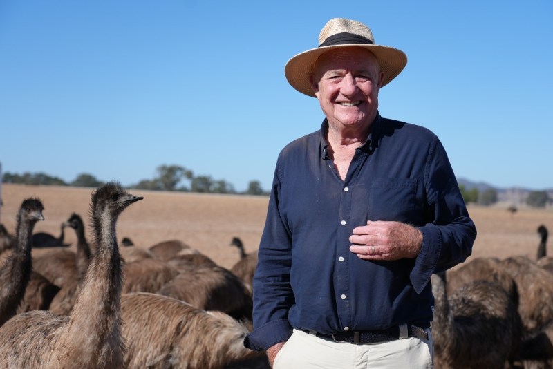 Smiling farmer in a blue shirt and straw hat stands among a flock of emus on a sunny Australian farm, showcasing rural life and agriculture.
