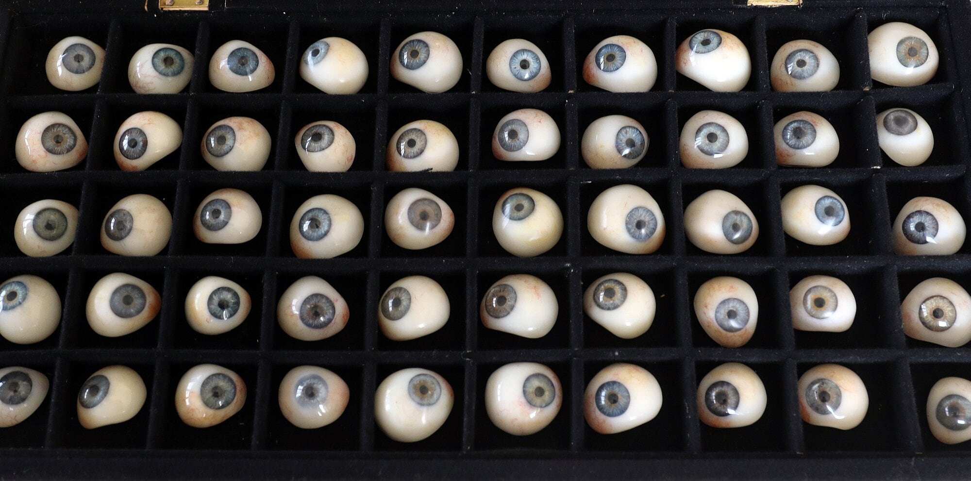  A small part of the collection. Photo / Stuart Whitaker