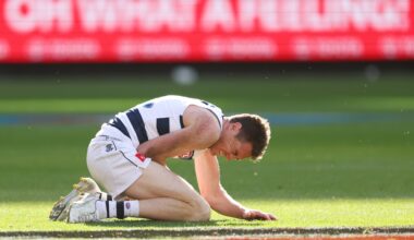 Battered and bettered Cats take stock after humbling loss