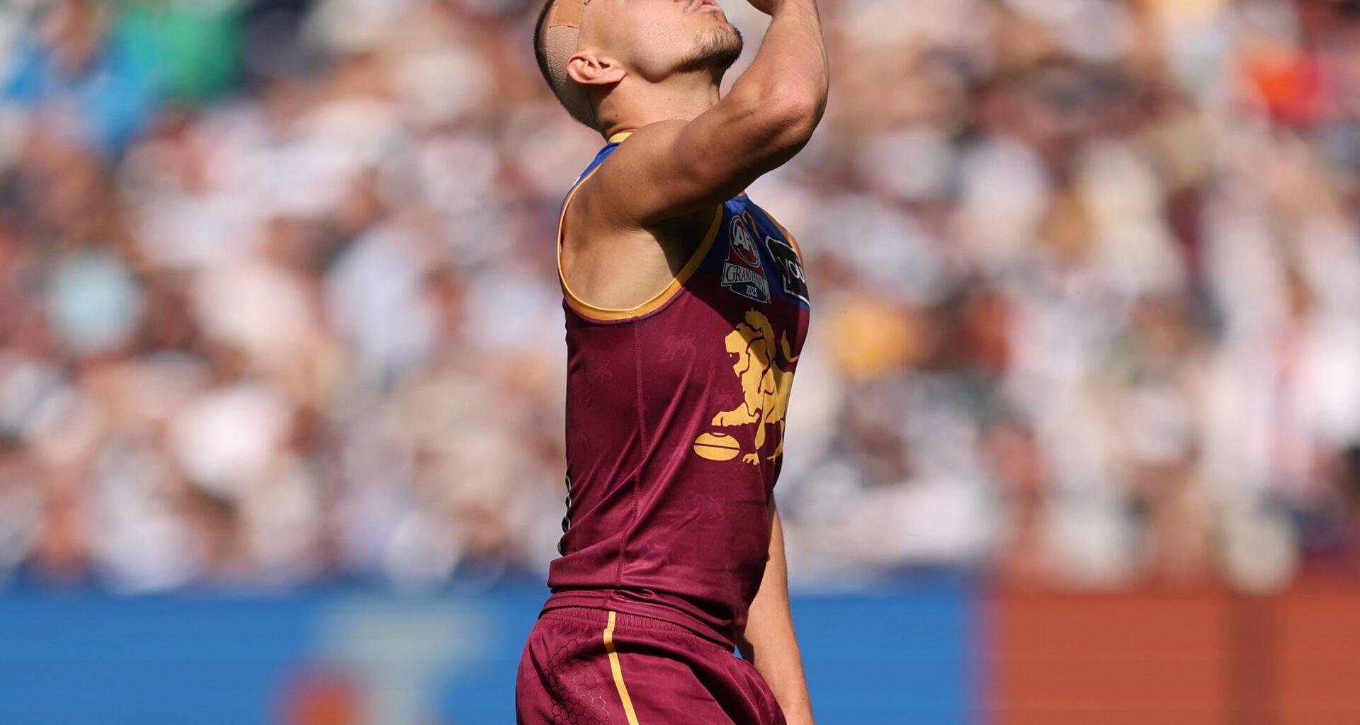 How dynamic Lion got through his toughest year