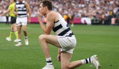Guts but no glory for Jez, few Danger signs: Every Geelong player rated